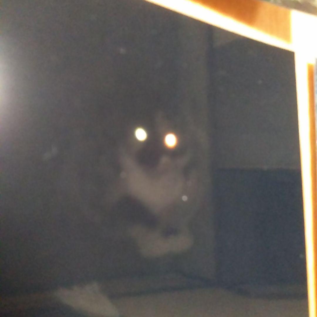 確認画面【幸運】岩手県　緑風荘　写真11枚セット