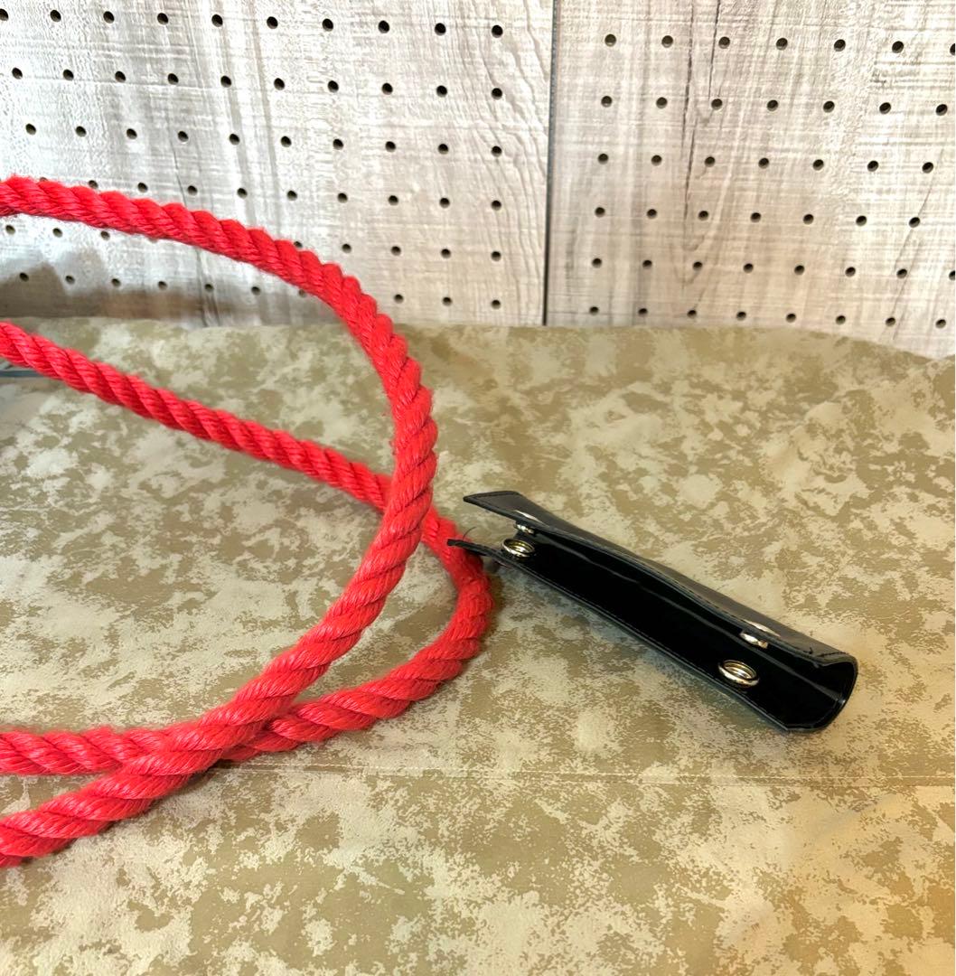 希少 渋谷龍太 BANZAI ヘビ柄 トートバッグ 限定品