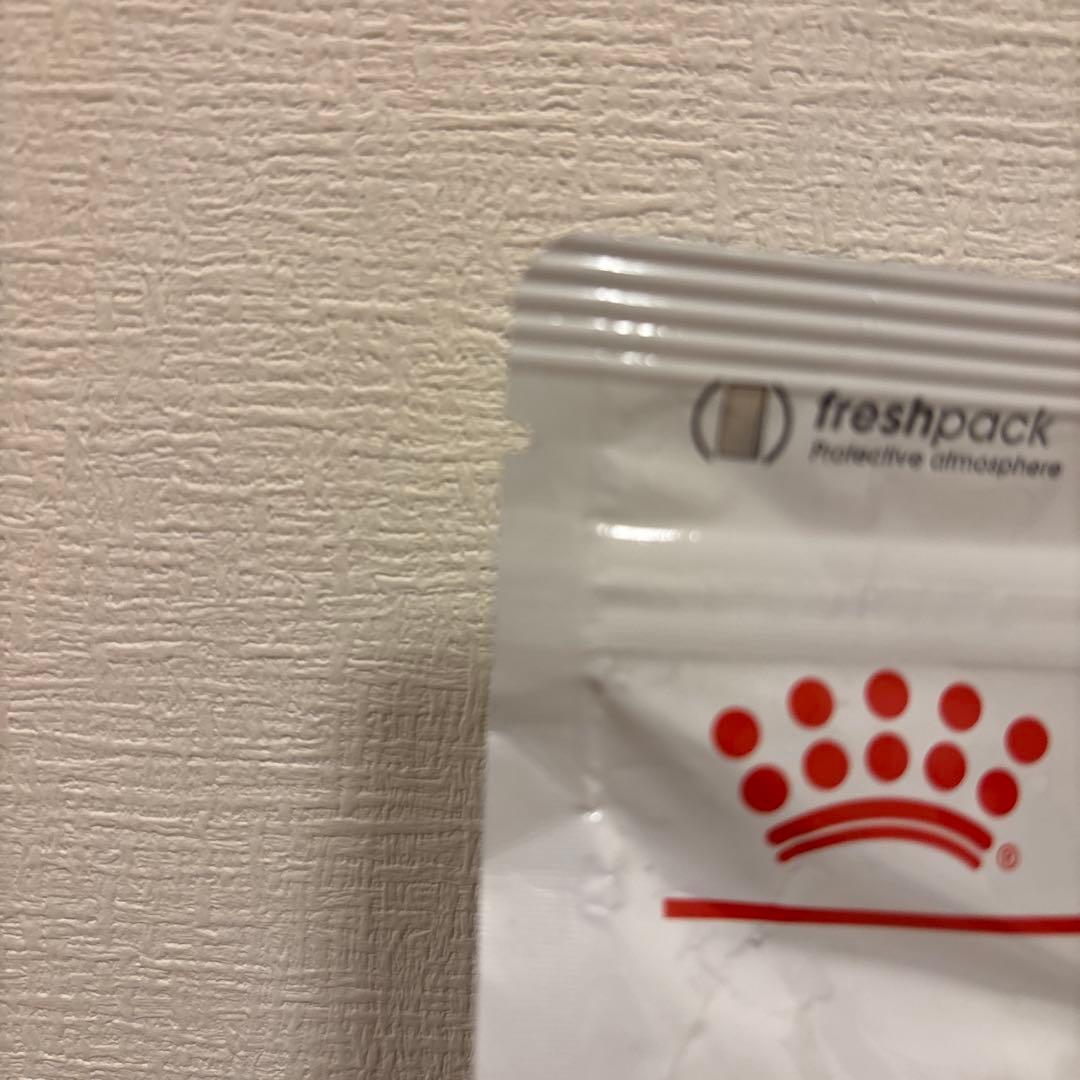  CANIN MULTIFUNCTION 低分子プロテイン 3kg