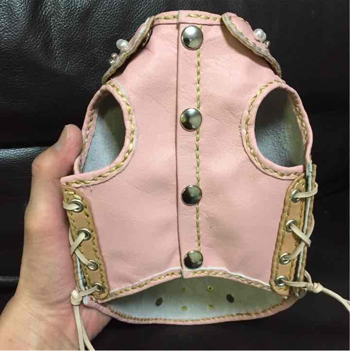 オーダー受けます！アトリエ09オリジナルドックライダース！トイプードル 犬 服