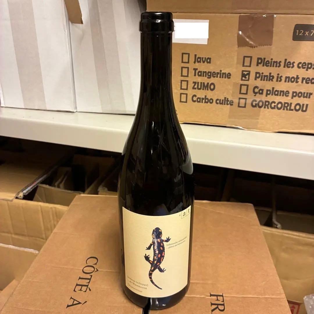 アンドレアスツェッペ　Salamander 2020