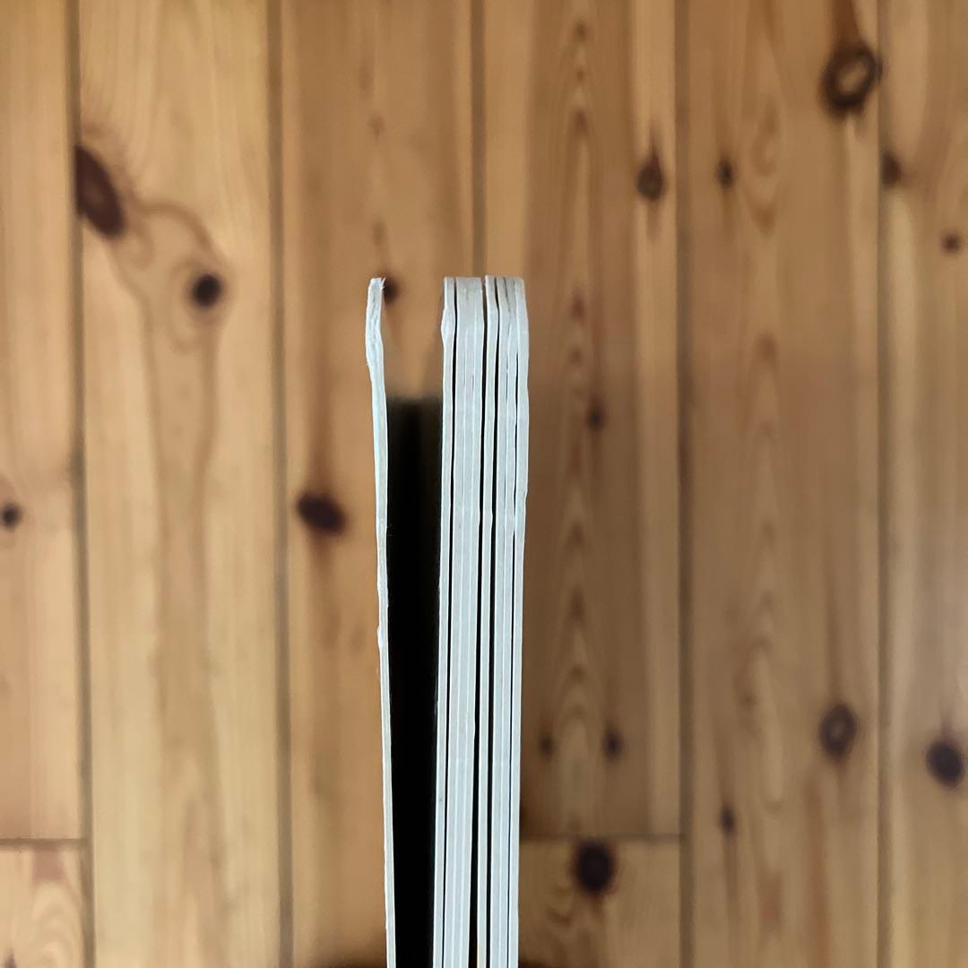 「はらぺこあおむし」巨大な絵本　美品