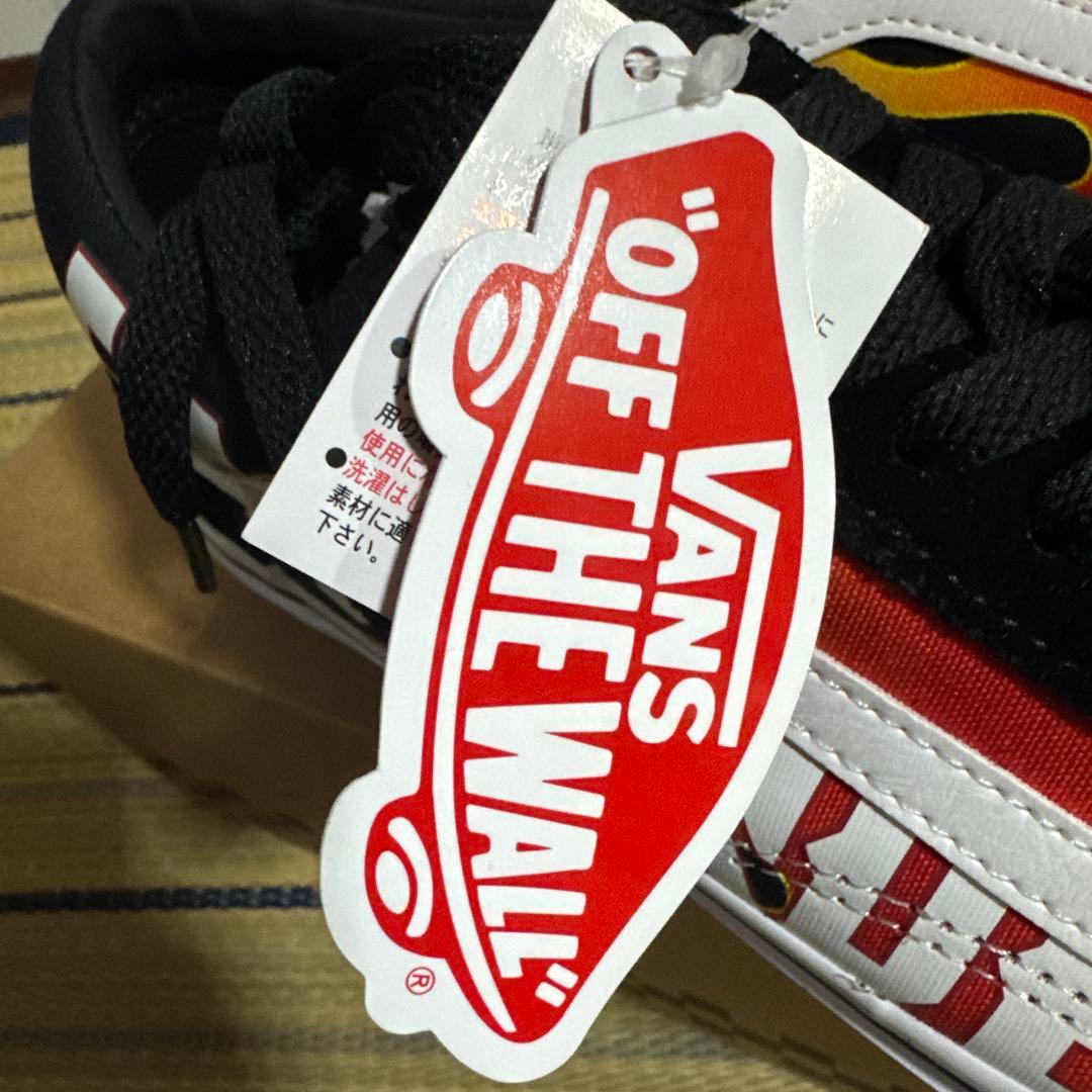 ELLEGARDEN×Vans OLD SKOOL