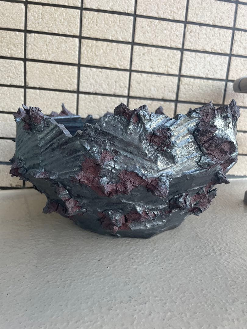 GOAT 鉢　GODZILLA XL検）作家鉢 パキプス グラキリス