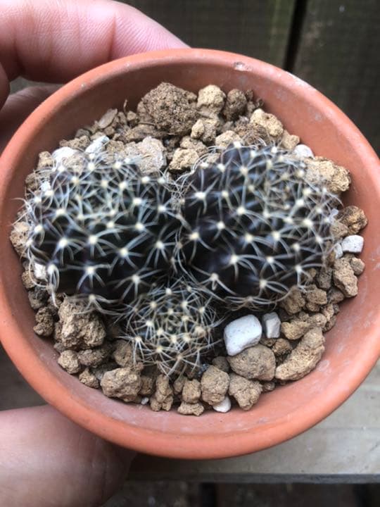 専用ページです(^ ^)