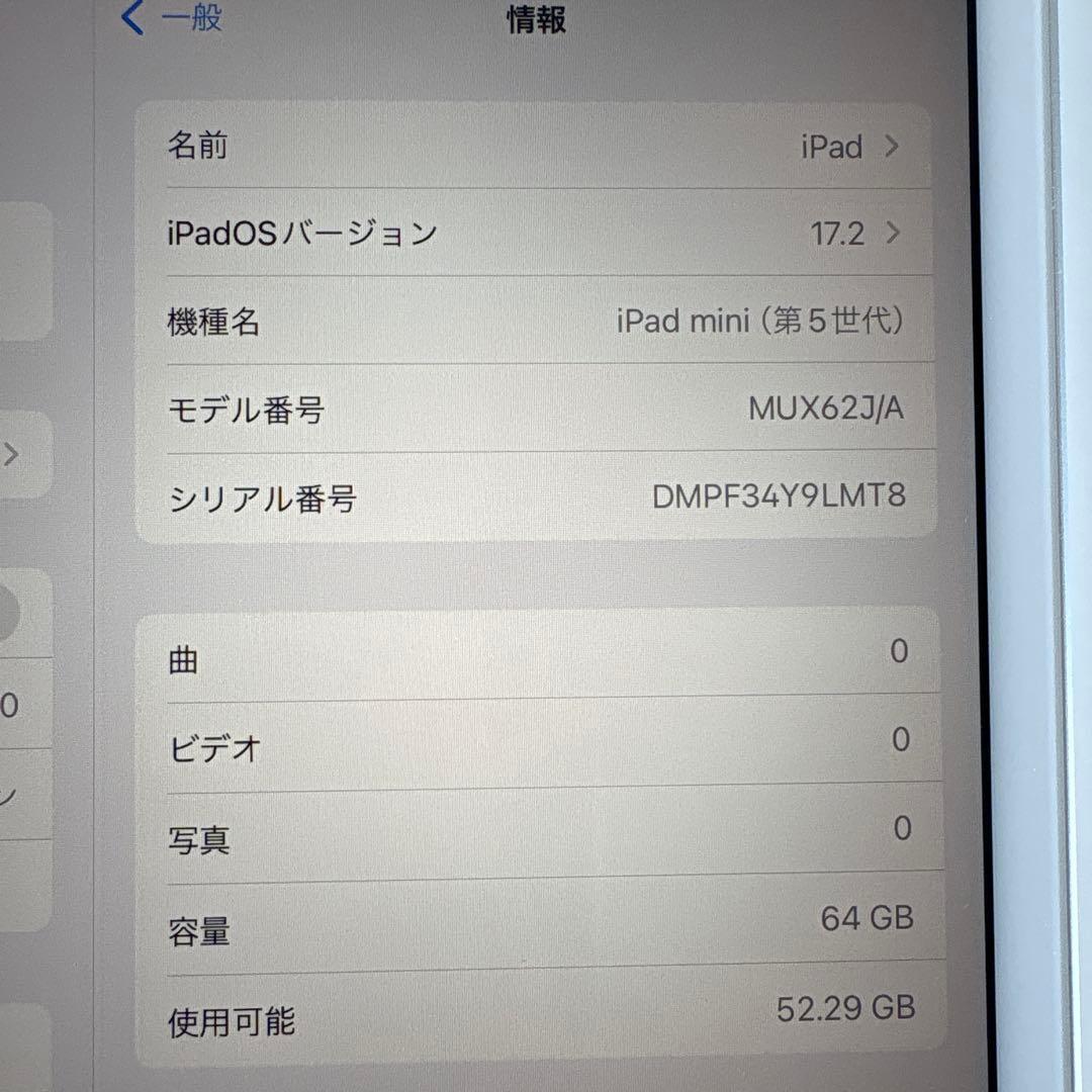 【美品】iPad mini5 セルラー 64GB SIMフリー