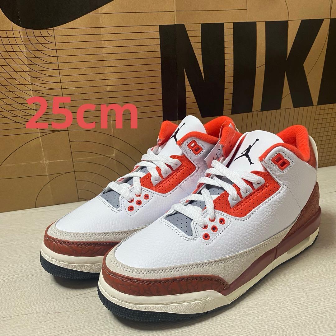 靴 25cm AIR JORDAN 3 RETRO SE (GS)