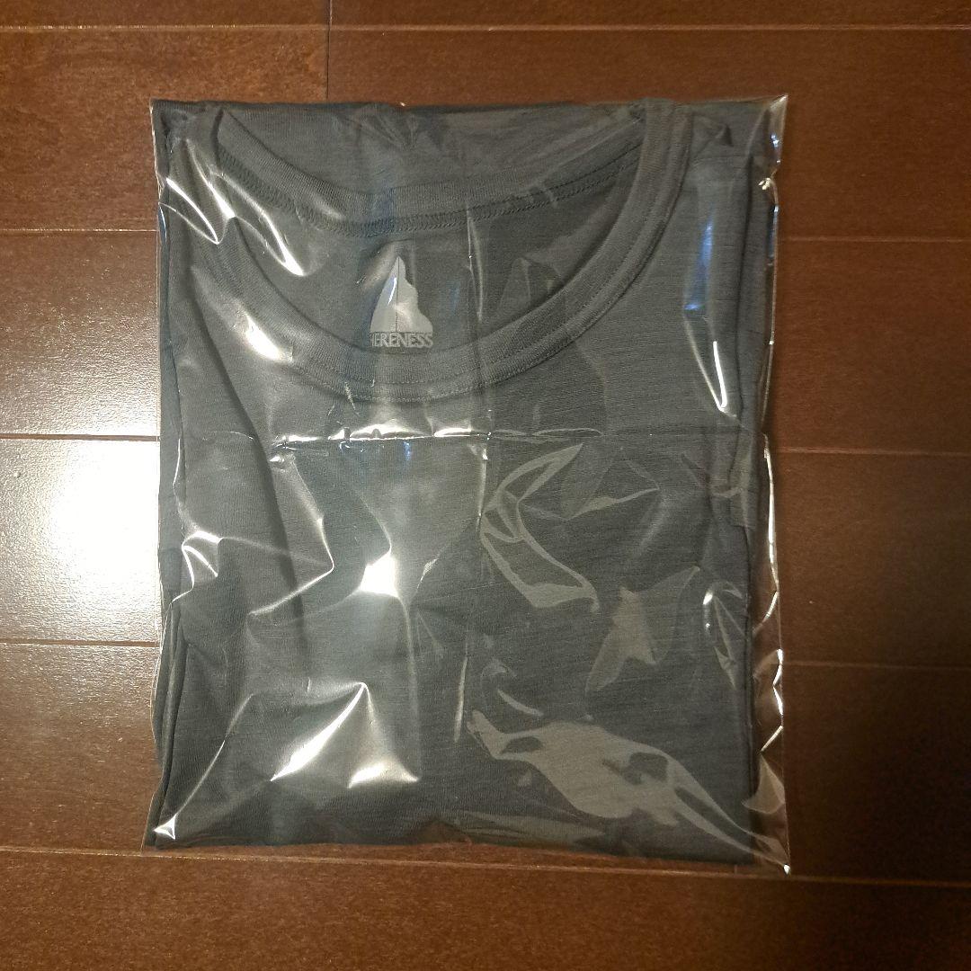 極美　着用1回 ヒアネス メリノウール　ロングスリーブＴシャツ グレーM