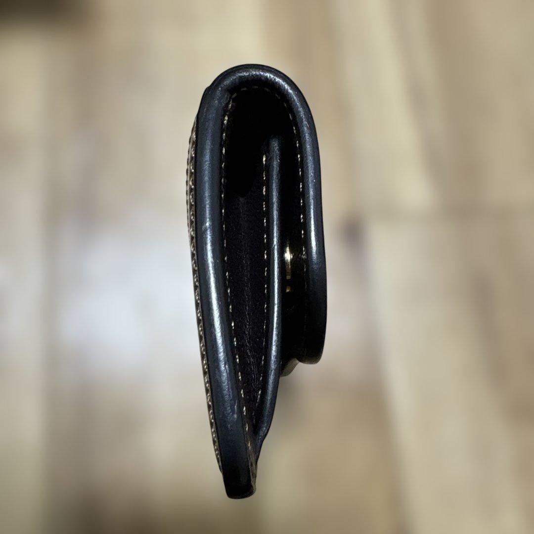 ワイルドスワンズ