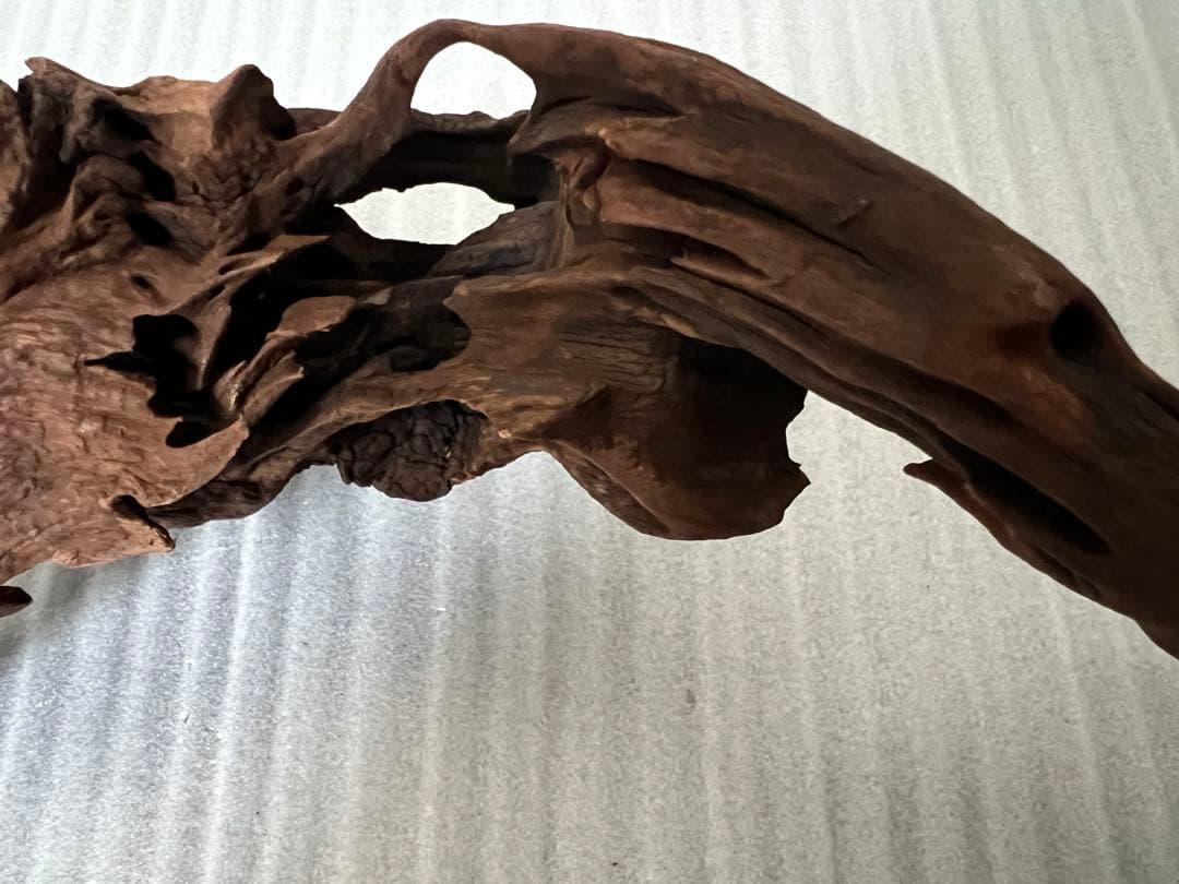 HX-095 流木　マシンガンウッド　ホーンウッド アクアリウム　ブランチウッド