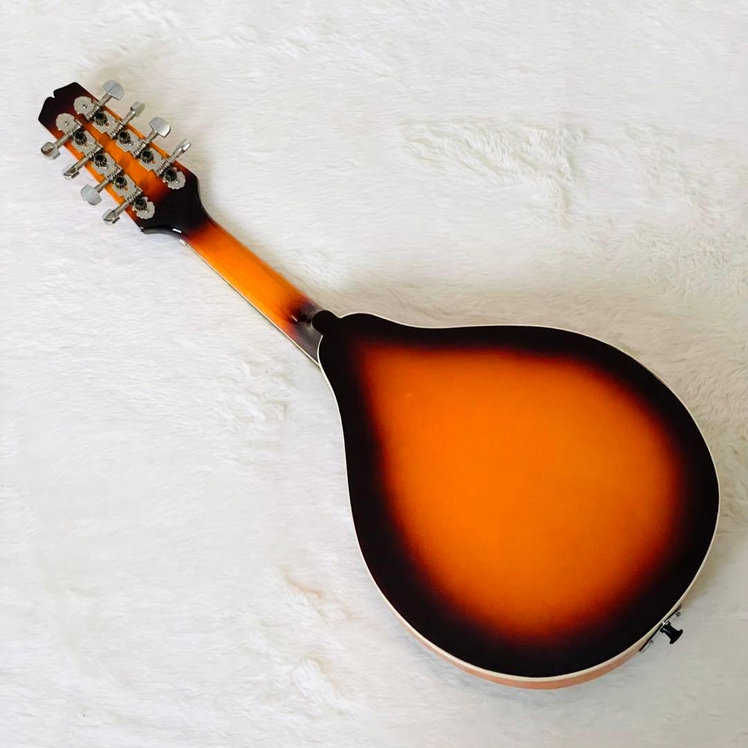 【激安】 マンドリン 8 弦 F ホール マンドリン バスウッド キ