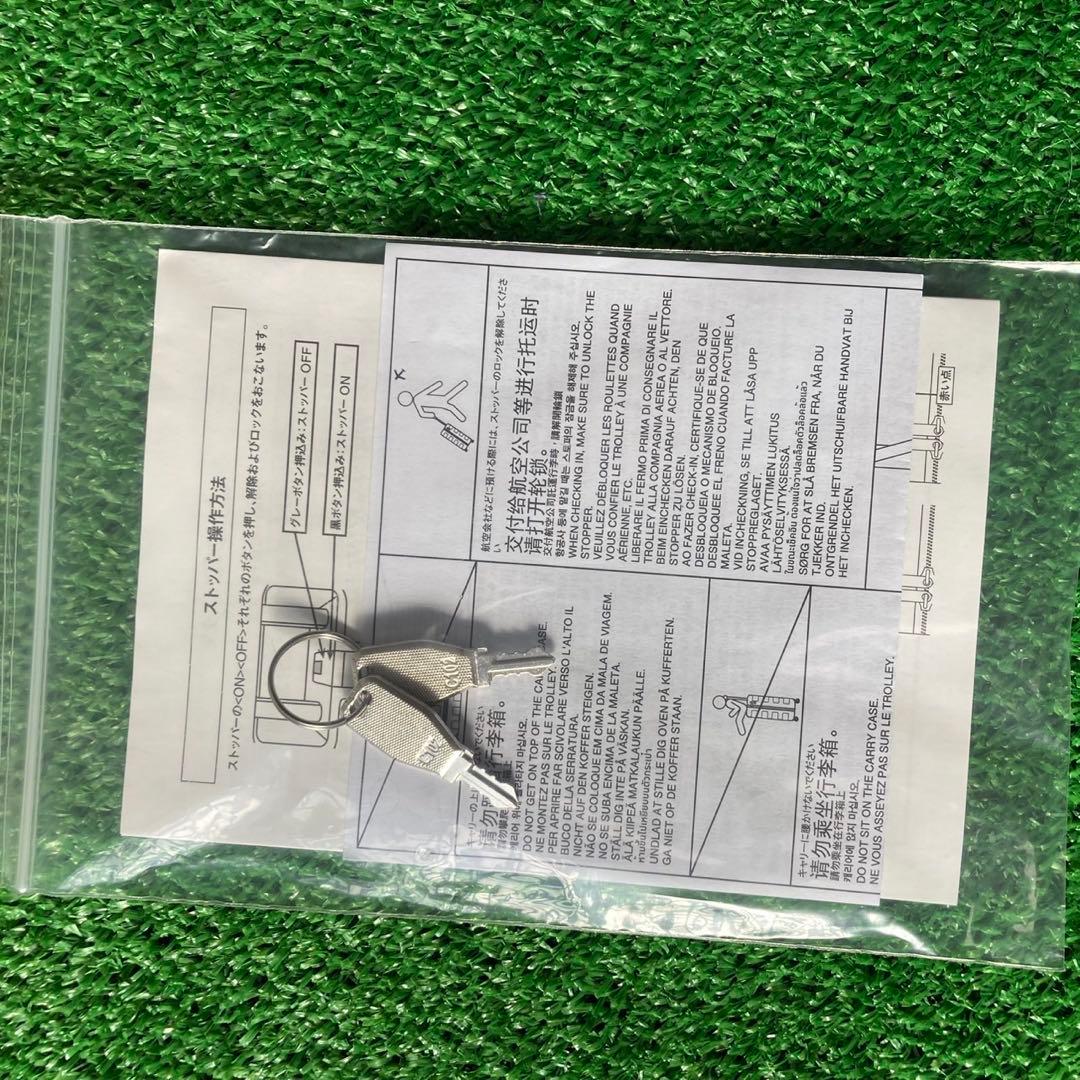 無印良品　バーを自由に調節できるハードキャリーケース　75L 2024年製