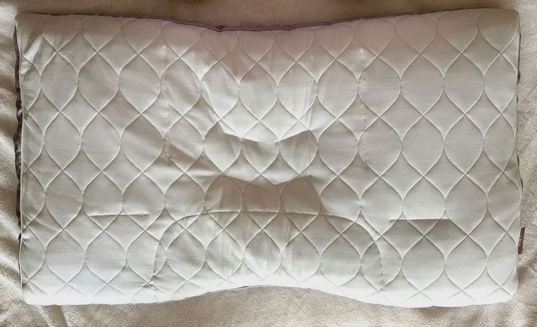 西川　ファインスムーズ ファインクオリティプレミアムエラストマーパイプ枕