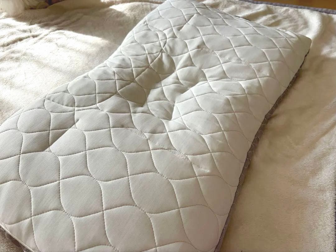 西川　ファインスムーズ ファインクオリティプレミアムエラストマーパイプ枕