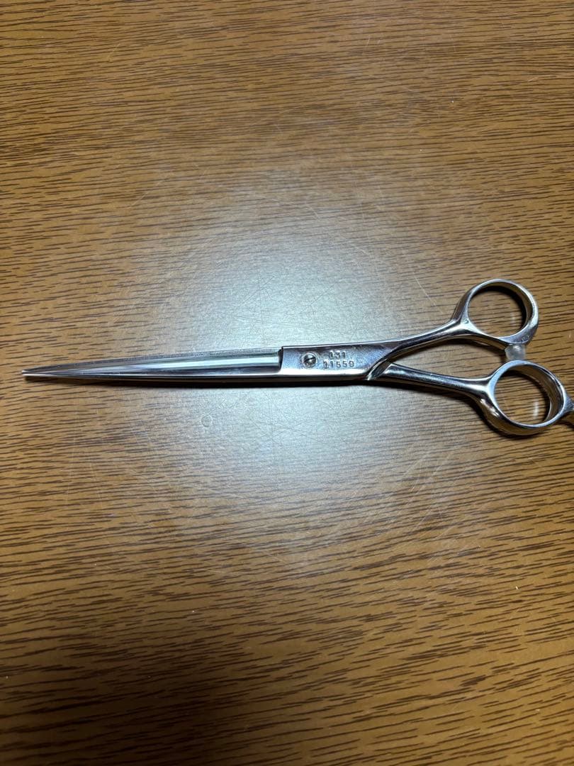 レイコスモス131光RAY COSMOS