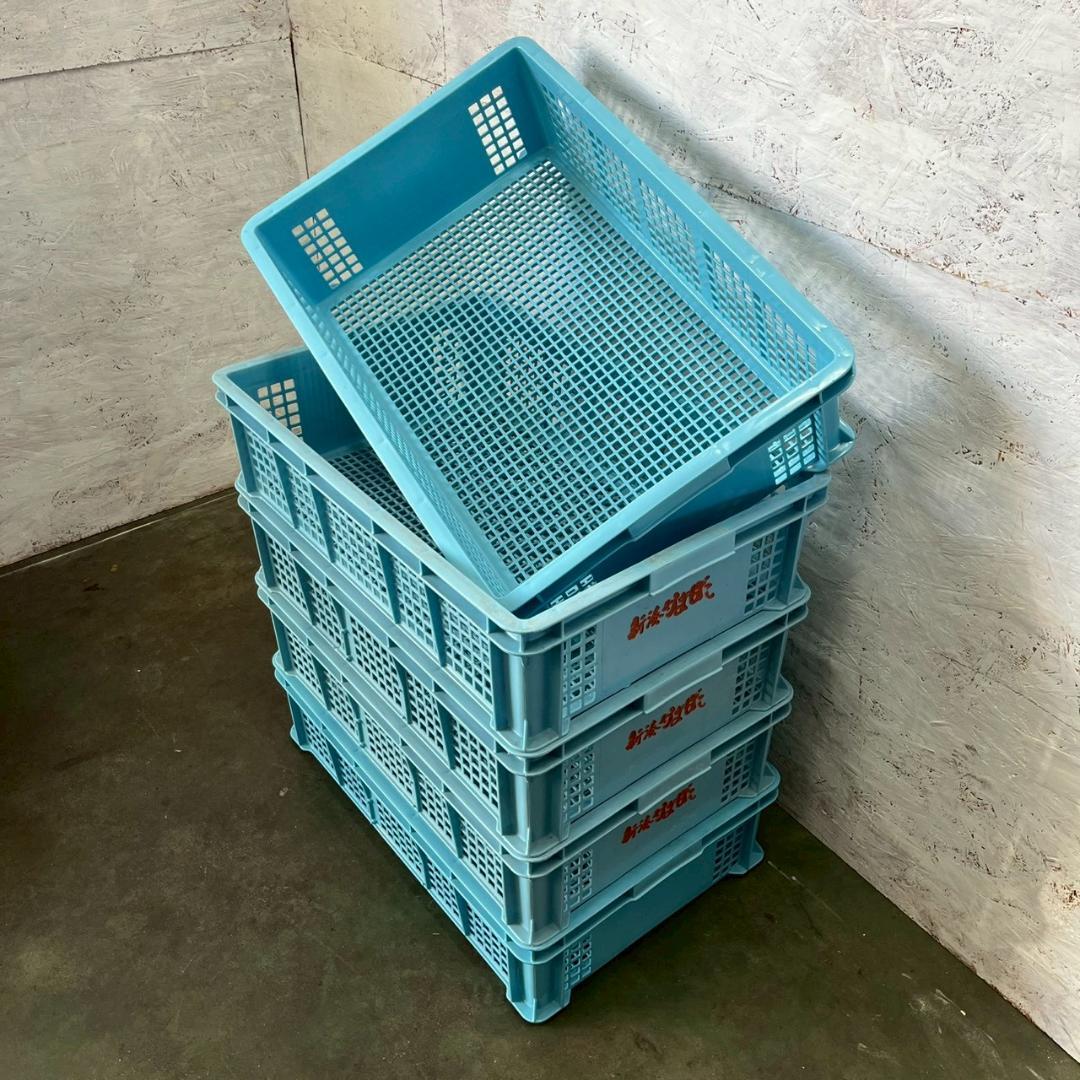 【サンコー】 三甲 サンテナー B#48 5個 セット まとめ ④ A0856