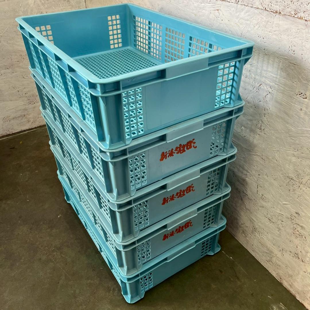 【サンコー】 三甲 サンテナー B#48 5個 セット まとめ ④ A0856