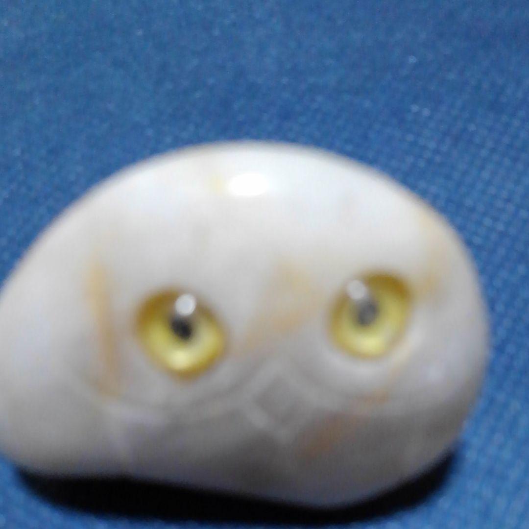 ♥️♥️珍しい！天然小石のフクロウ①