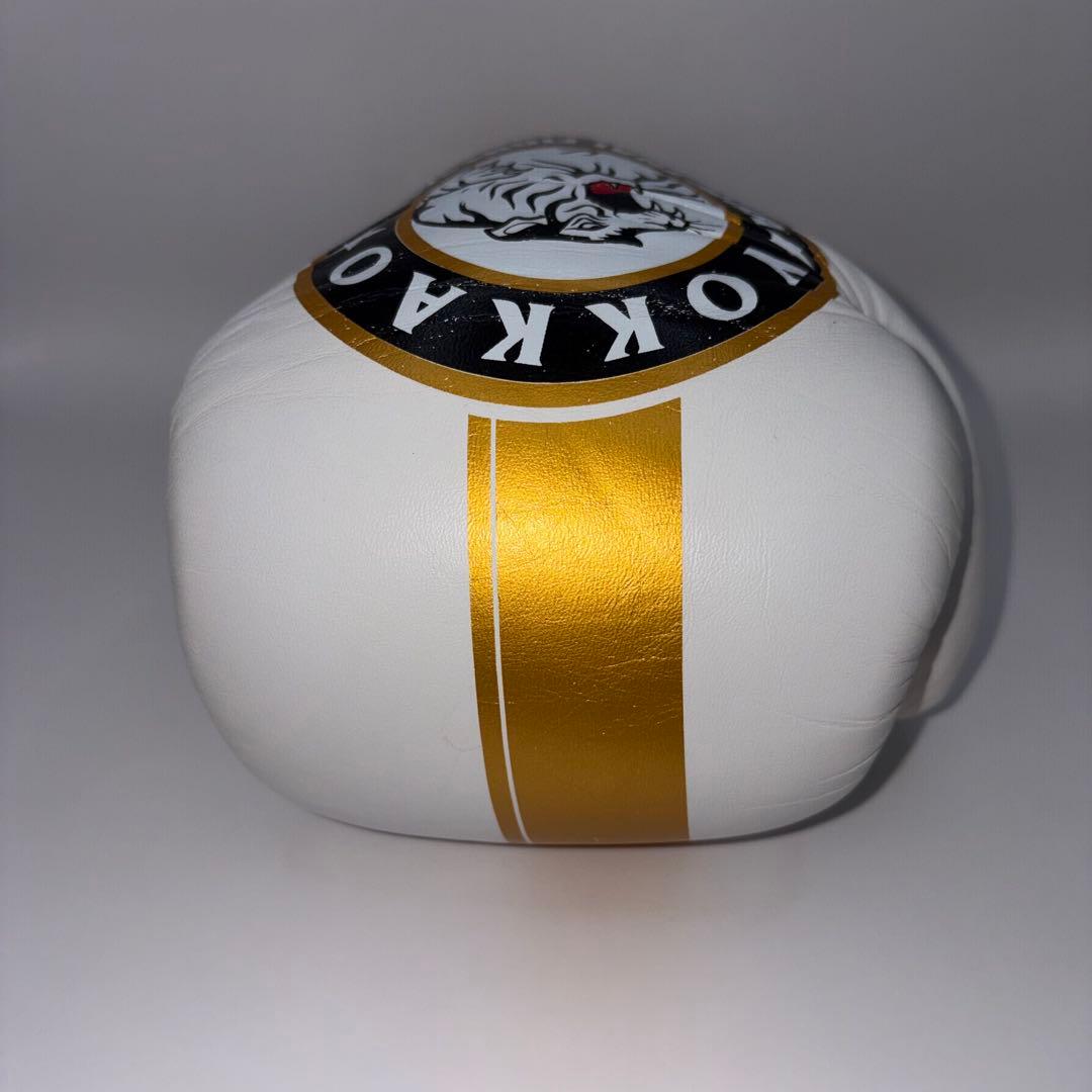 【希少モデル】 YOKKAO ヨッカオ 10オンス ボクシング グローブ