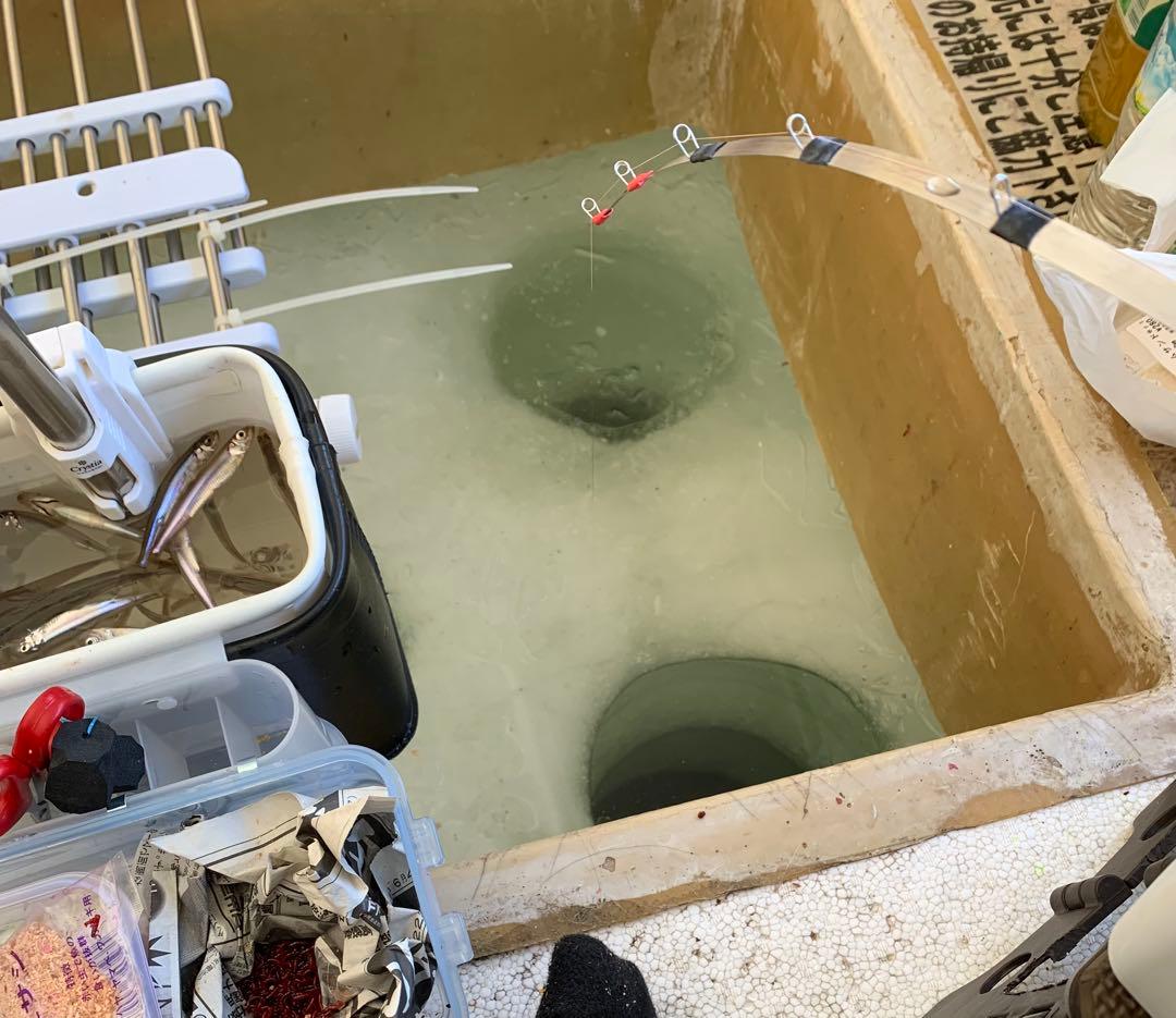 オススメ　ワカサギ　ステンレス穂先　全長約260ミリ　2本