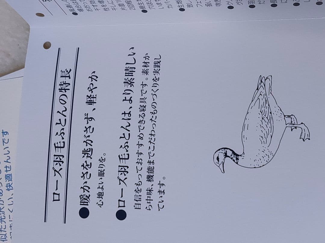 京都 西川 手摘み ステッキー マザーグース 97％ 羽毛 布団 真綿