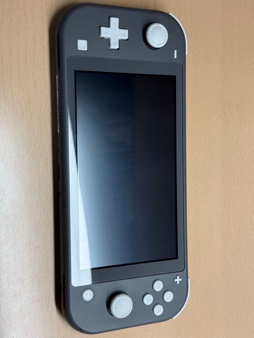 【美品】Nintendo Switch Lite グレー ケース付き