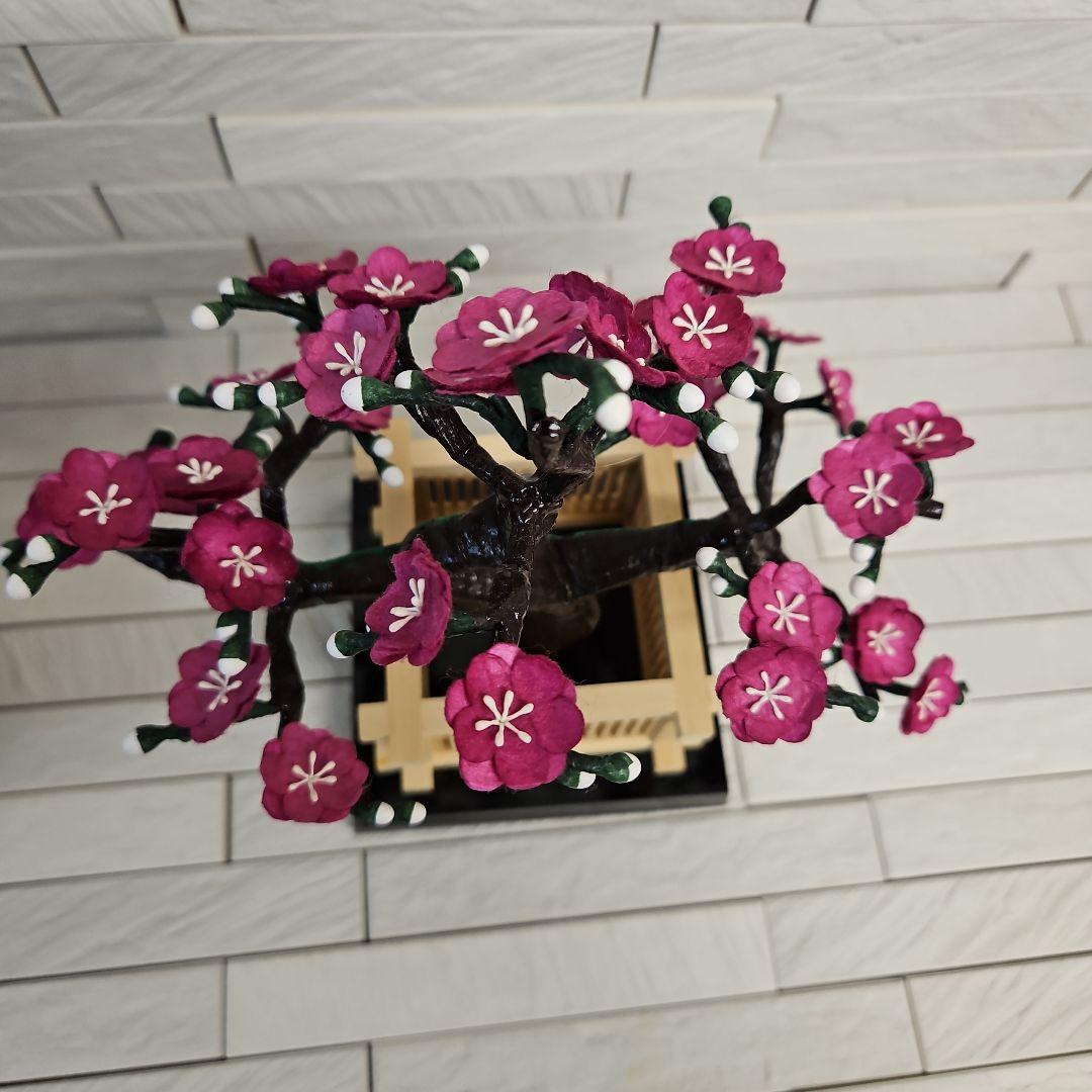 手作り　繭玉細工　紅梅白梅