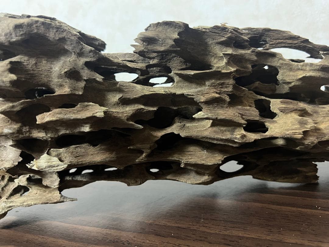 XM-456 流木　マシンガンウッド　アクアリウム　ブランチウッド　沈水確認済