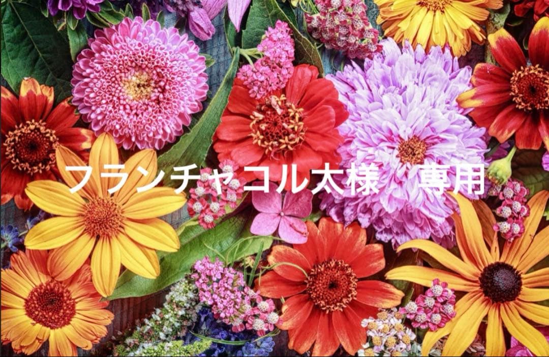 フランチャコル太