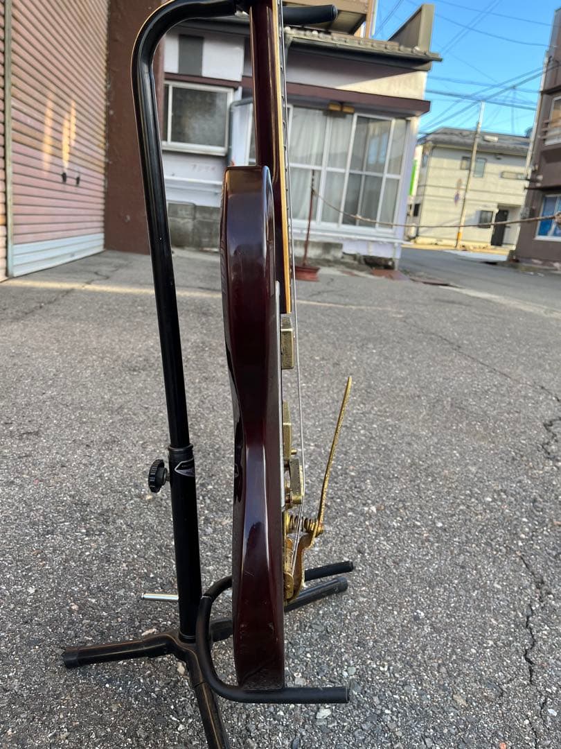 【Lake（レイク） 日本製 ビザールギター 長野ローカルブランド】