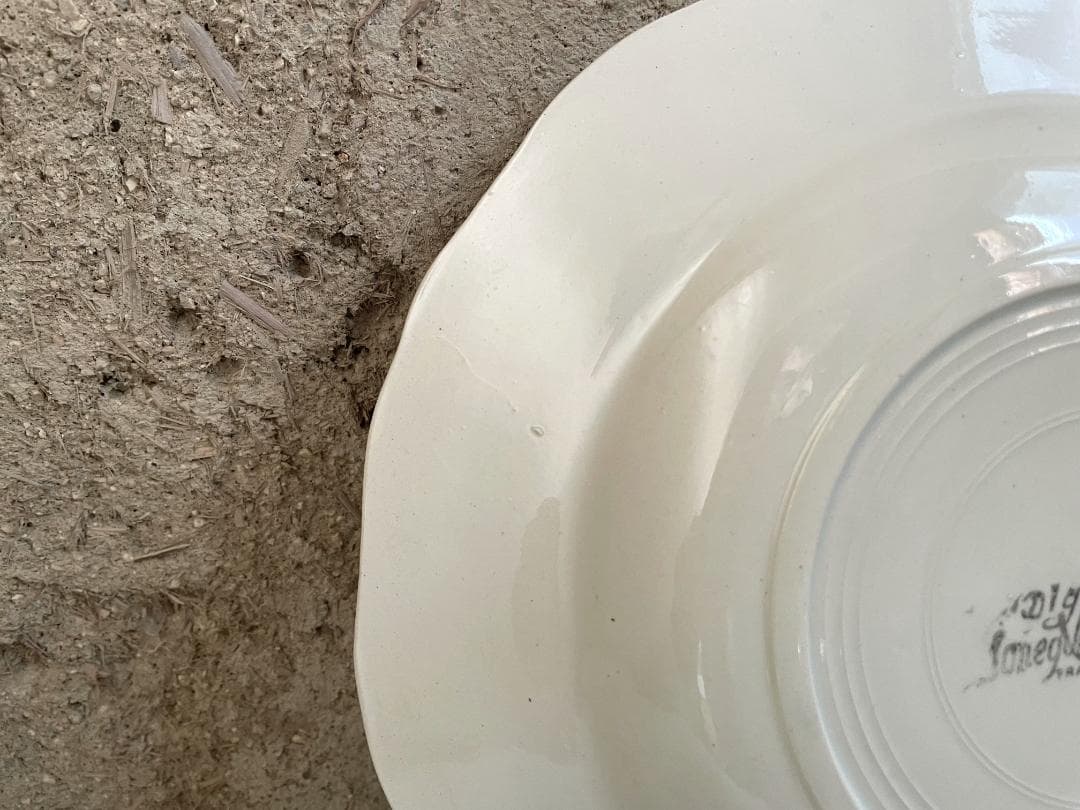 める2枚セット/サルグミンヌ 花リム 深皿 N-852/