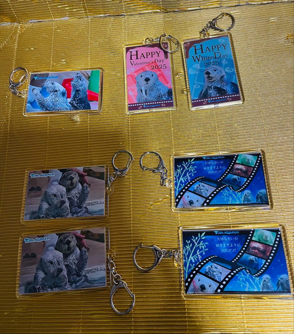 鳥羽水族館⭐️ラッコ⭐️キラ✖️メイ⭐️キーホルダー⭐️４種８個セット
