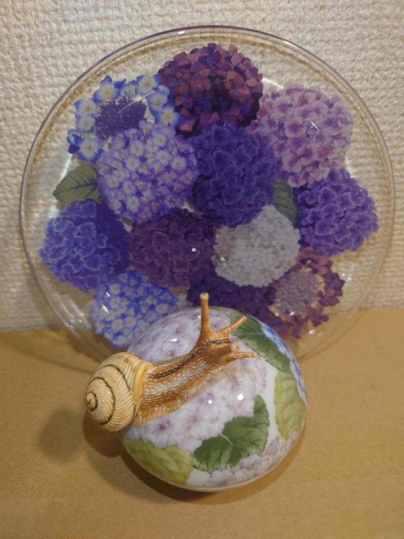 【新品未使用】入手困難作家！春うらら『伊藤早苗』最上位作 釉下彩紫陽花蓋物 共箱