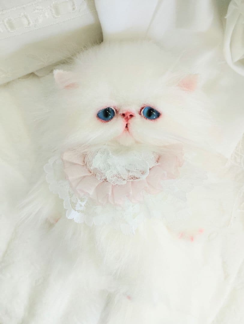 ポッケにゃん♡エキゾチック子猫ちゃん♡アートドール♡ぬいぐるみ