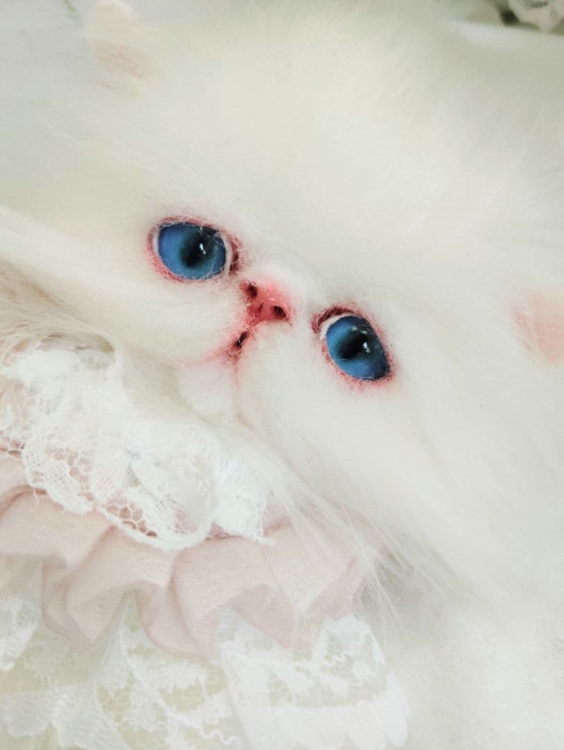 ポッケにゃん♡エキゾチック子猫ちゃん♡アートドール♡ぬいぐるみ