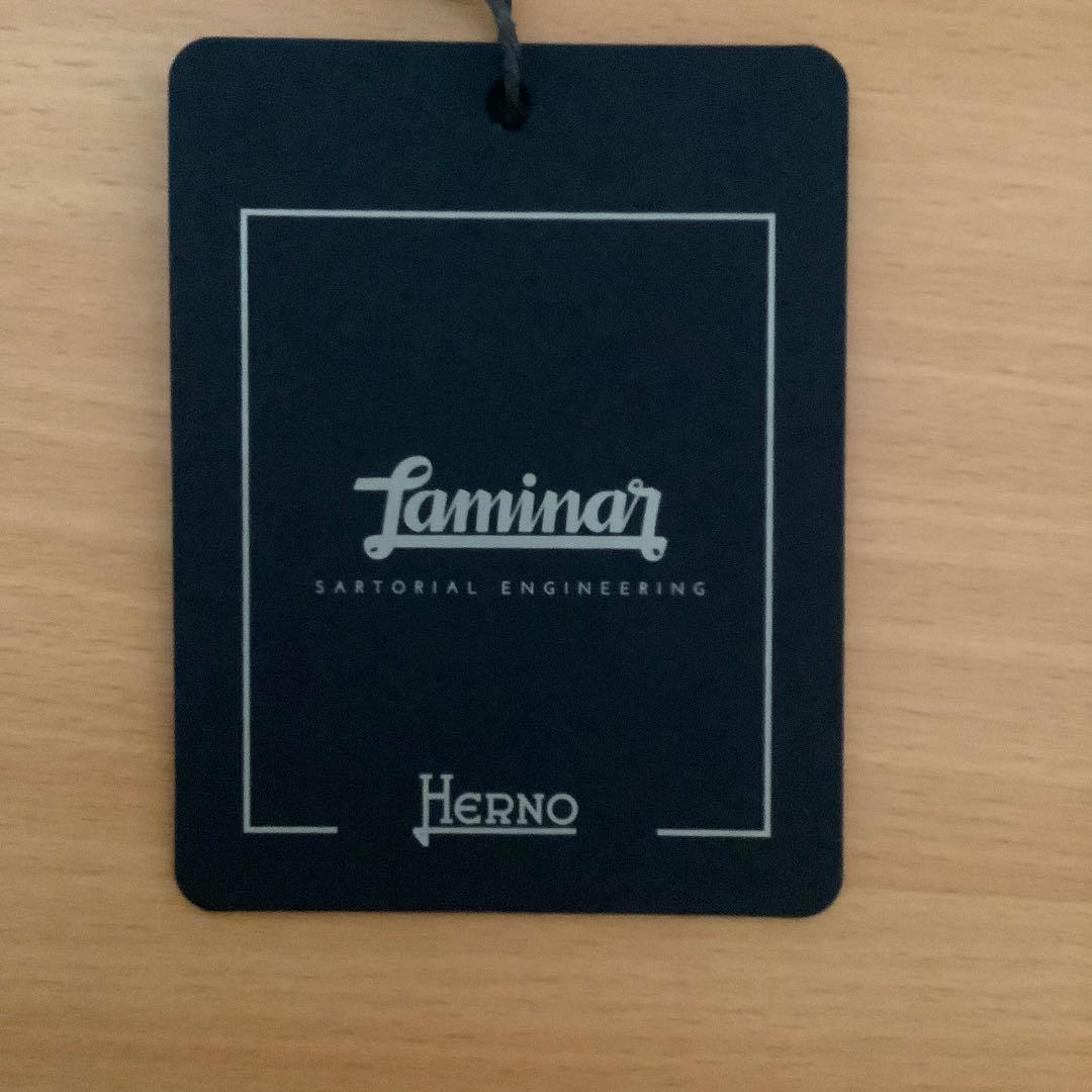 HERNO ヘルノ Laminar GoreTex ダウンコート フード付き46