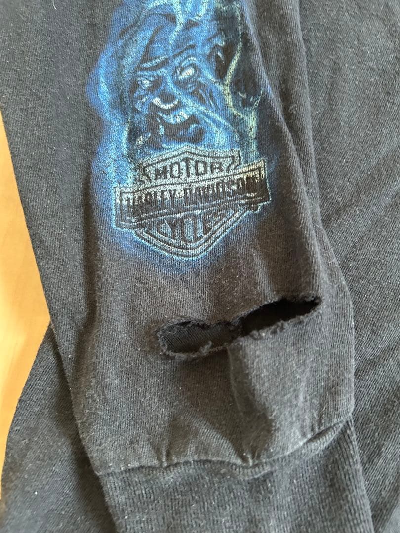 【スペシャル】Harley-Davidson フレイムスリーブロンT ジョーカー