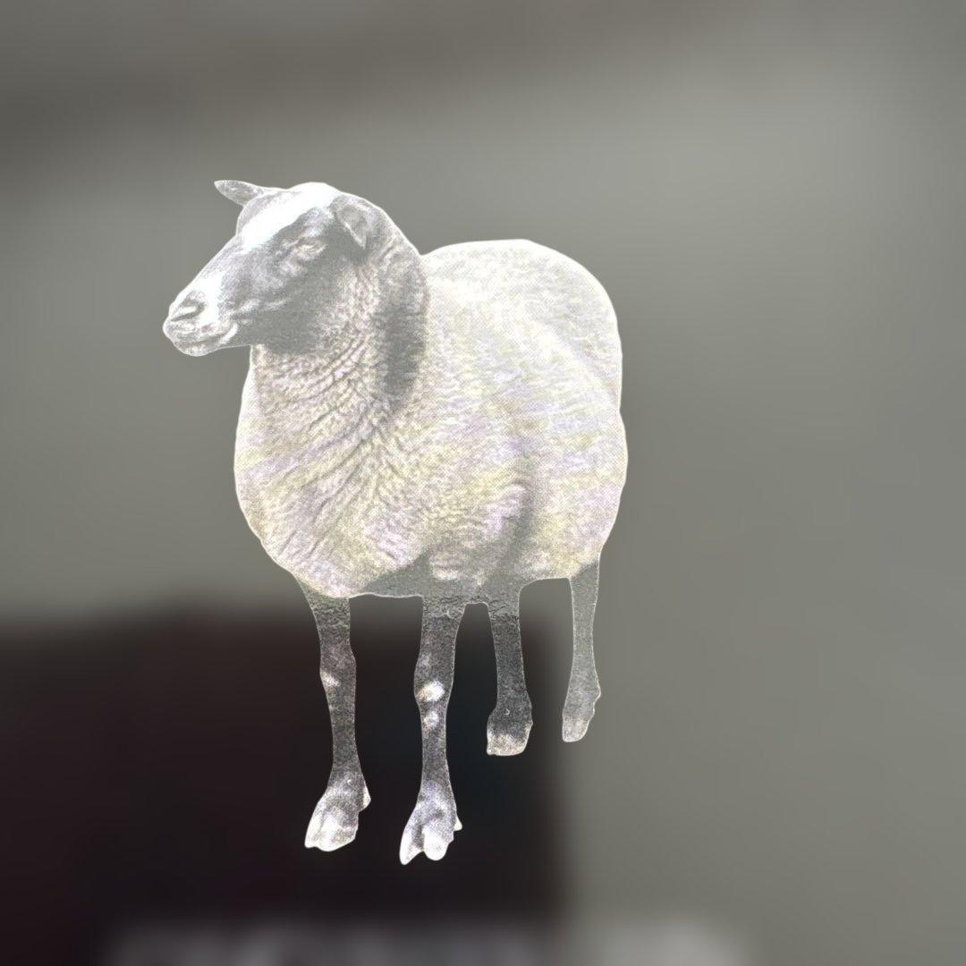 新品+1回使用品　2個セット　専用カバー付　極上睡眠　ヒツジのいらない枕　fit