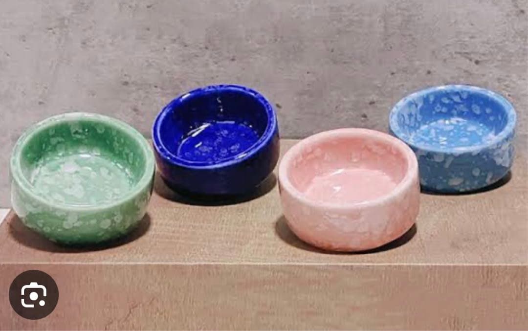 バードモア　小鳥用保温アクリルケース