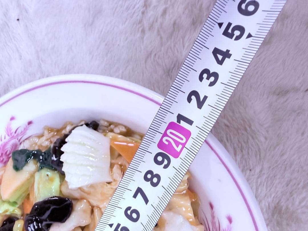 食品サンプル 中華丼 直径約21.5cm リアル 店舗ディスプレイ用