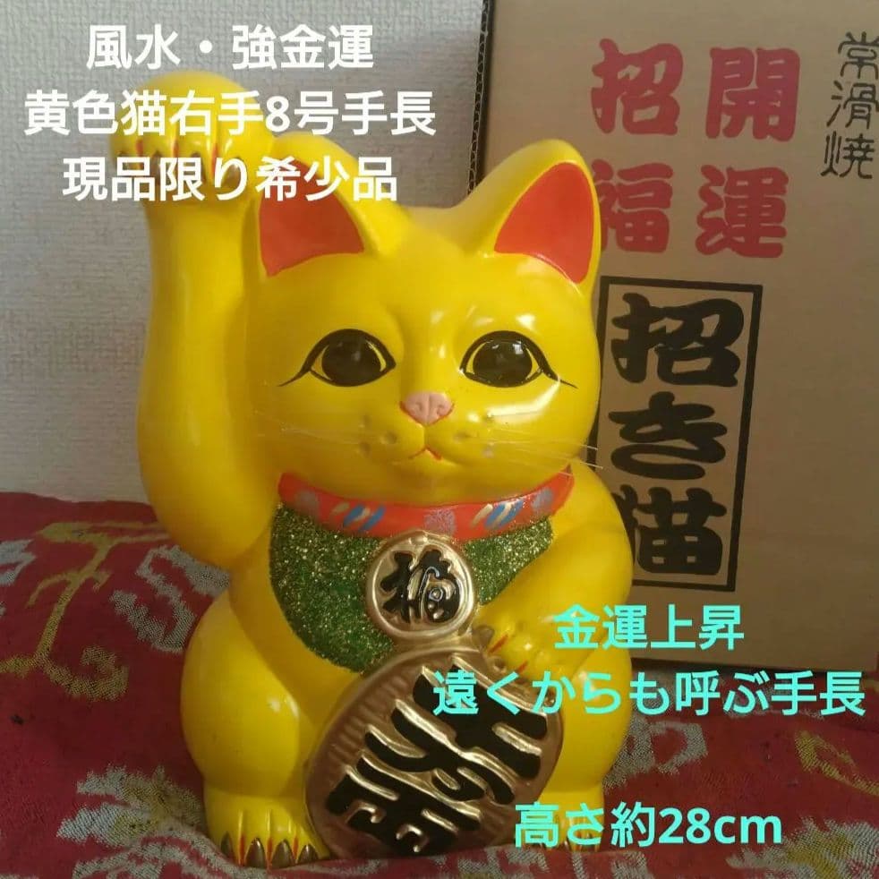 12/5迄限定値引✨風水》金運　招き猫☆黄色猫右手上げ8号手長　1匹のみ特別製作