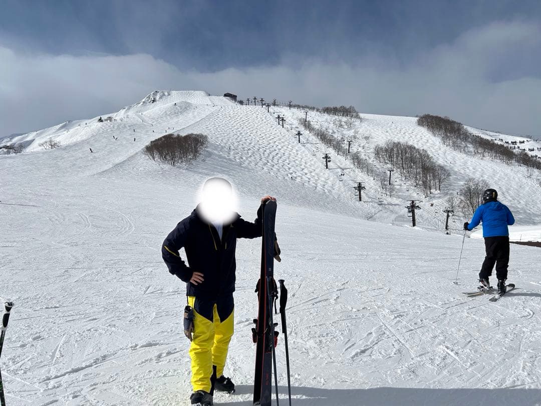 【ぴょんぴょん様】Salomon ネイビー　スキージャケット (JAPAN L）