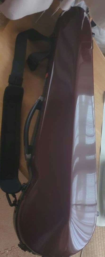 美品 Nicolo Santiバイオリン CROSSROCKケース・付属品付き