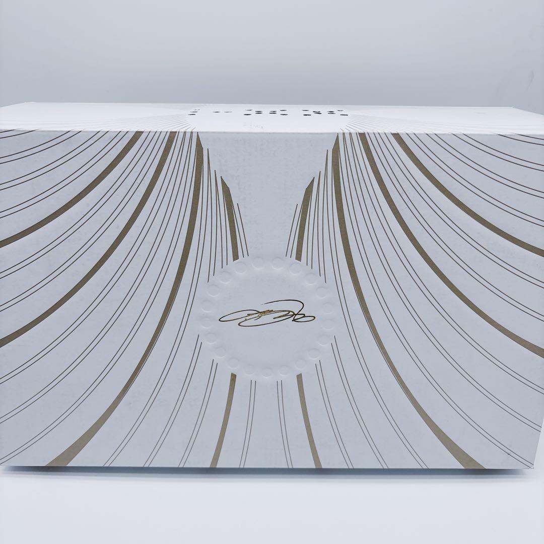 未使用級✨ Nike LeBron XXI EP レブロン21 \"クールグレー\"