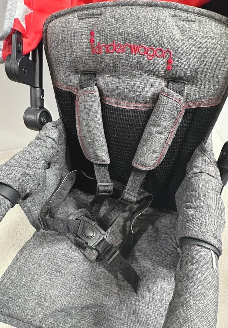 ⭐️極美品⭐️ 日本育児 kinderwagon DUOシティHOPⅡ ２人乗り