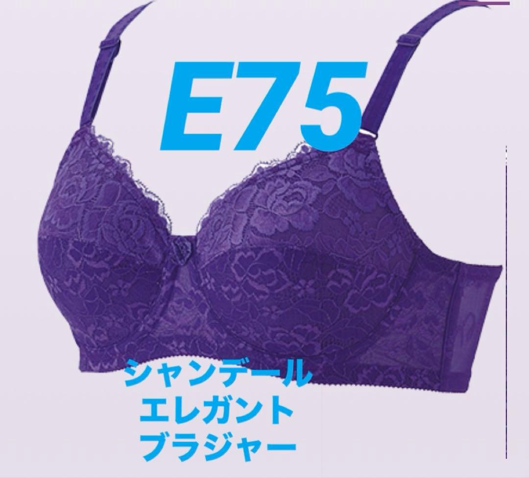 新品未使用　シャンデール　エレガントブラジャー E75 バイオレット