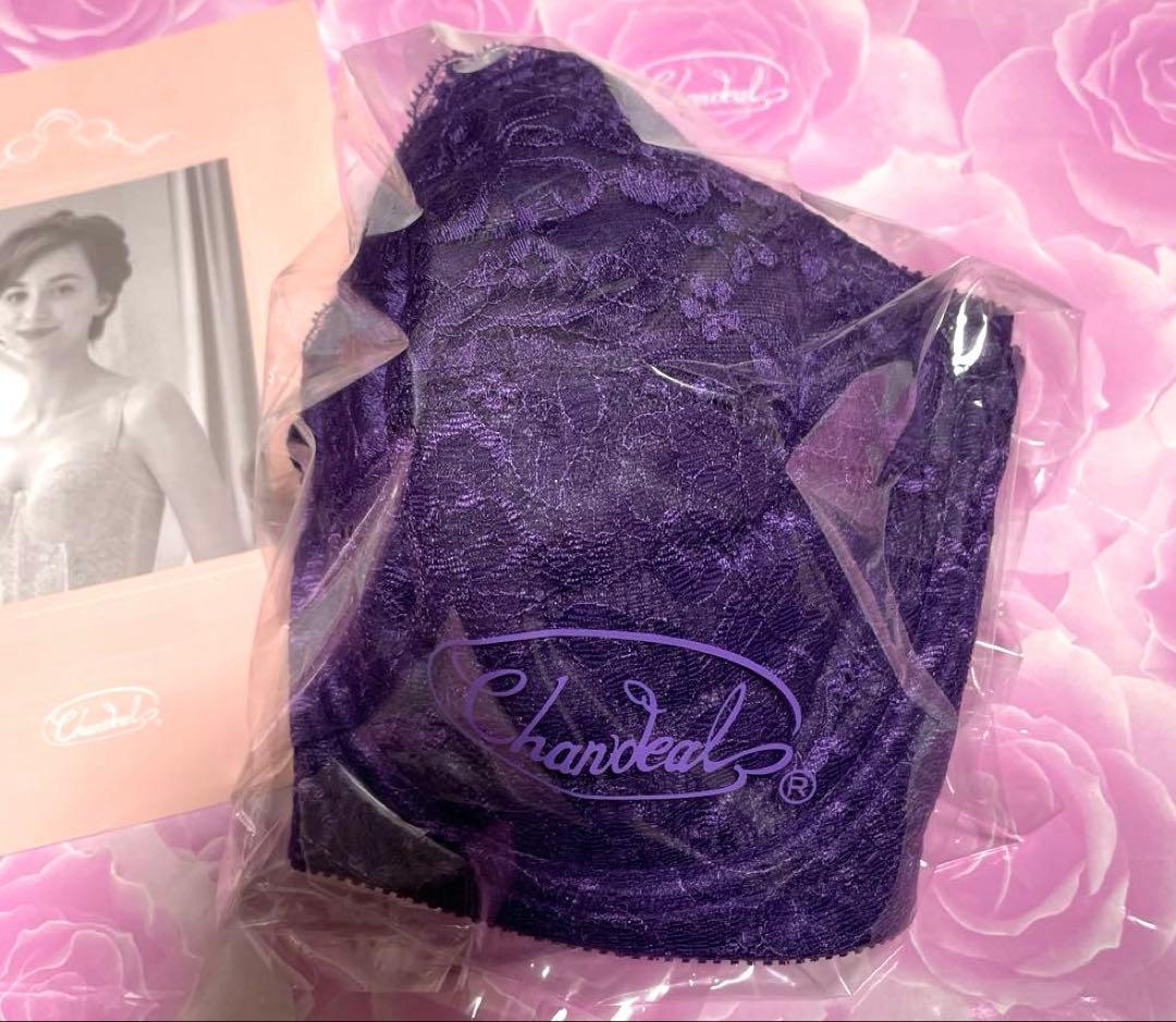 新品未使用　シャンデール　エレガントブラジャー E75 バイオレット