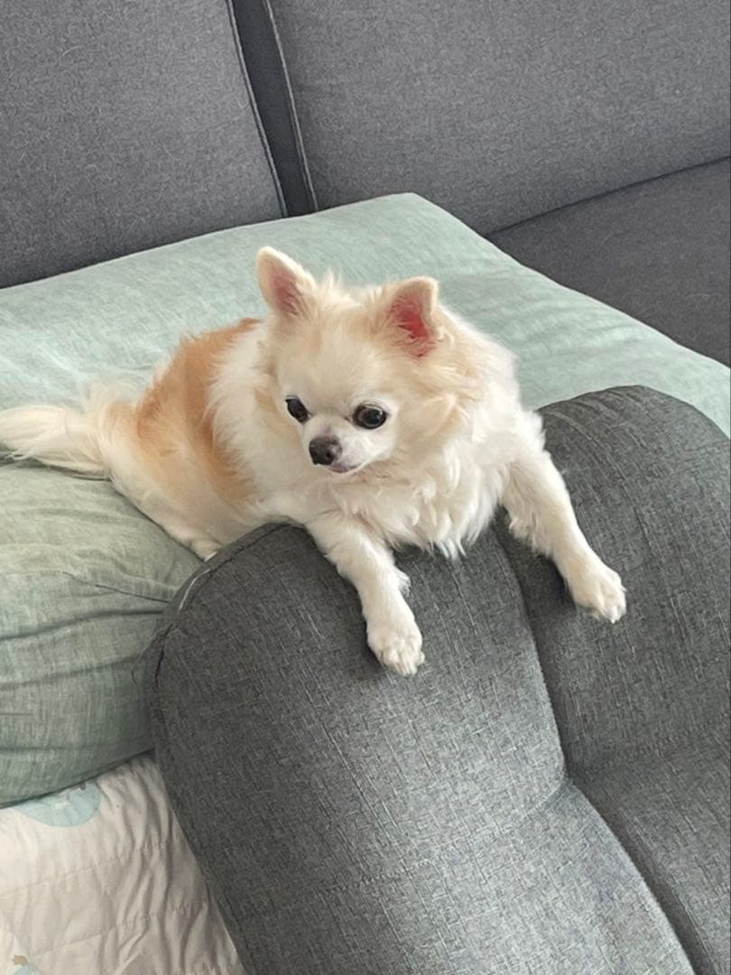 画像確認用　背中、全身伏せポーズ