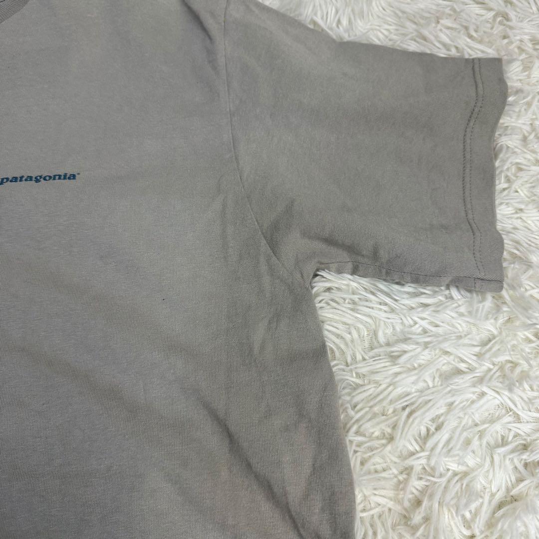 patagonia 90s USA製 ベネフィシャルT 北斎 波グラフィック M