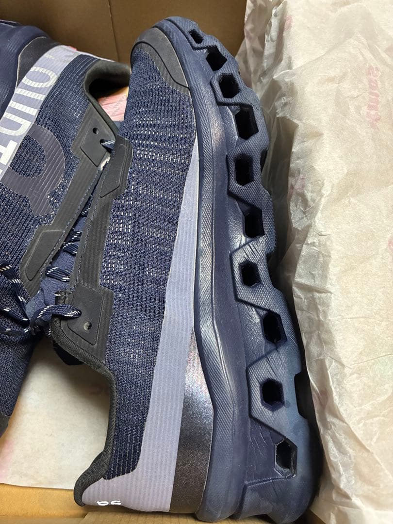 靴 On Cloudmonster void yozakura